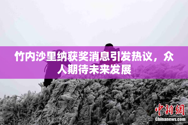 竹内沙里纳获奖消息引发热议，众人期待未来发展