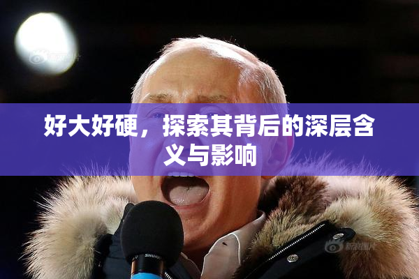 好大好硬，探索其背后的深层含义与影响