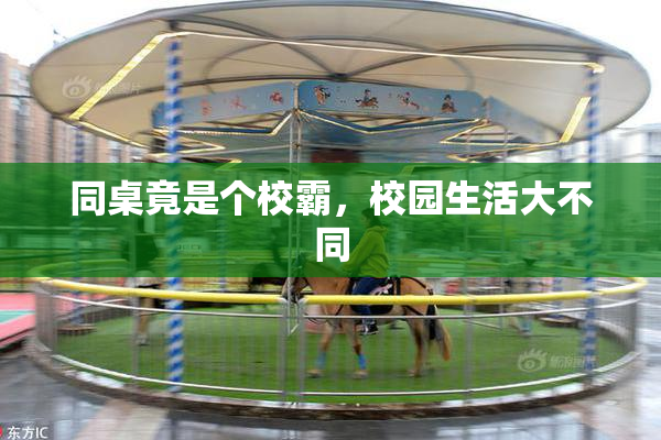 同桌竟是个校霸，校园生活大不同
