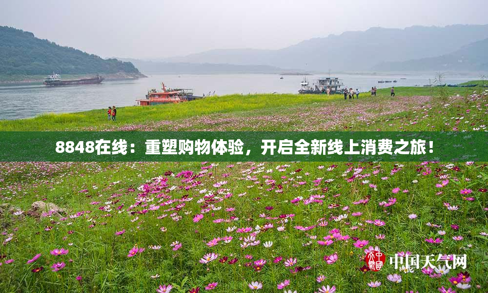 8848在线：重塑购物体验，开启全新线上消费之旅！