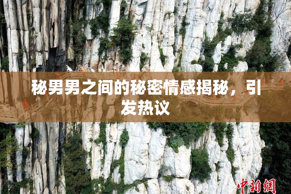 秘男男之间的秘密情感揭秘，引发热议