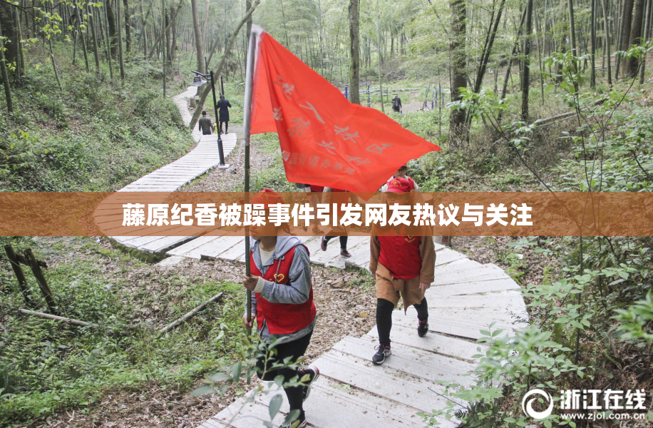 藤原纪香被躁事件引发网友热议与关注