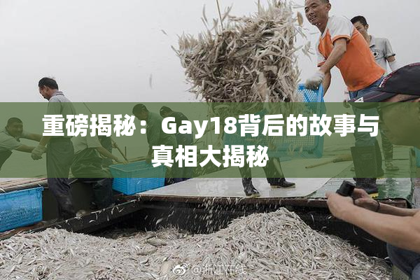 重磅揭秘：Gay18背后的故事与真相大揭秘