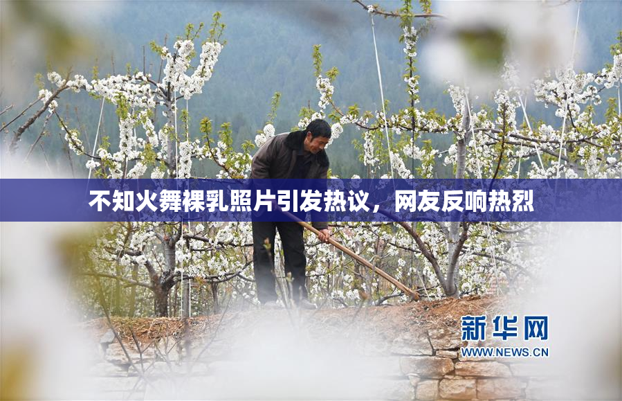不知火舞裸乳照片引发热议，网友反响热烈