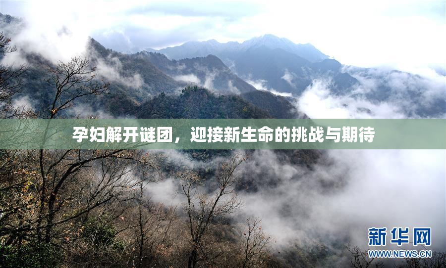 孕妇解开谜团，迎接新生命的挑战与期待