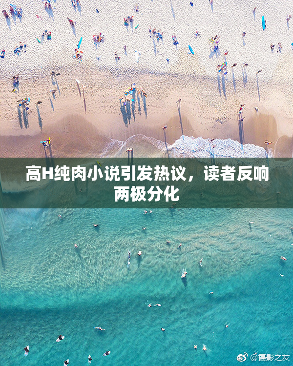 高H纯肉小说引发热议，读者反响两极分化