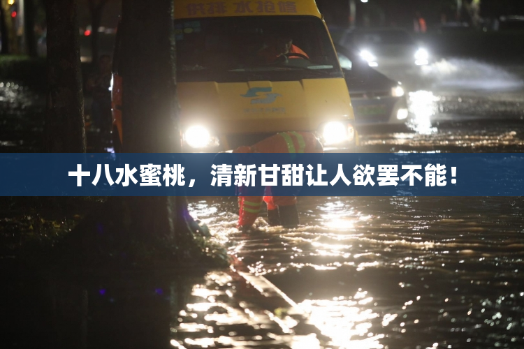 十八水蜜桃，清新甘甜让人欲罢不能！