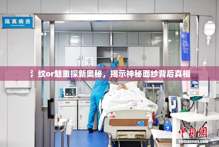 氵纹or魅重探新奥秘，揭示神秘面纱背后真相