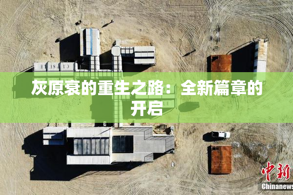灰原衰的重生之路：全新篇章的开启