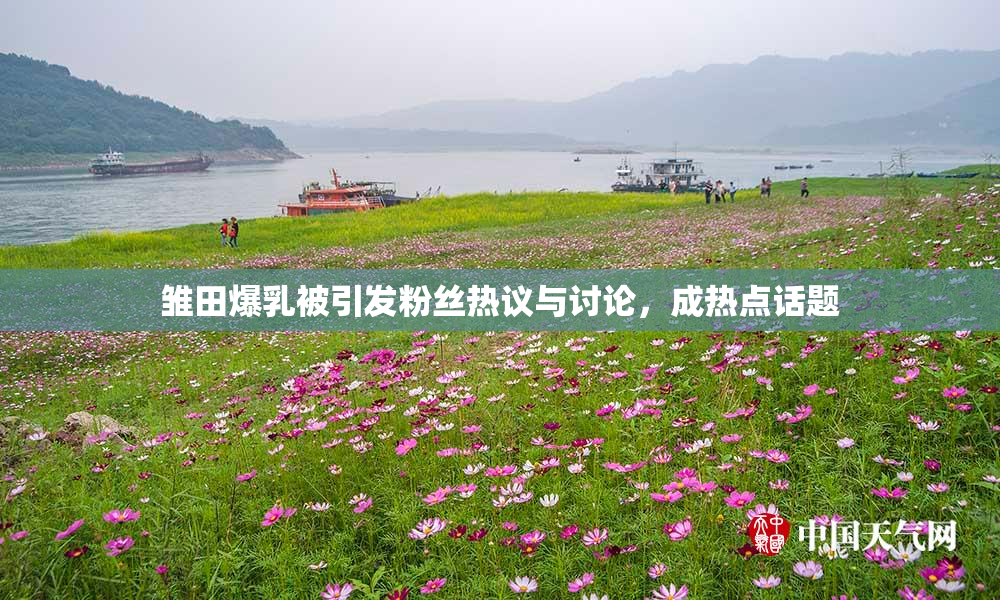 雏田爆乳被引发粉丝热议与讨论，成热点话题