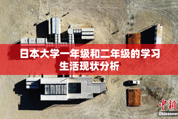 日本大学一年级和二年级的学习生活现状分析