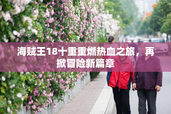 海贼王18十重重燃热血之旅，再掀冒险新篇章