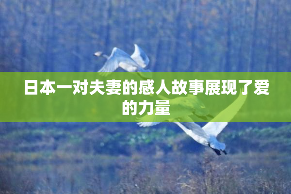 日本一对夫妻的感人故事展现了爱的力量