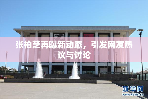 张柏芝再曝新动态，引发网友热议与讨论