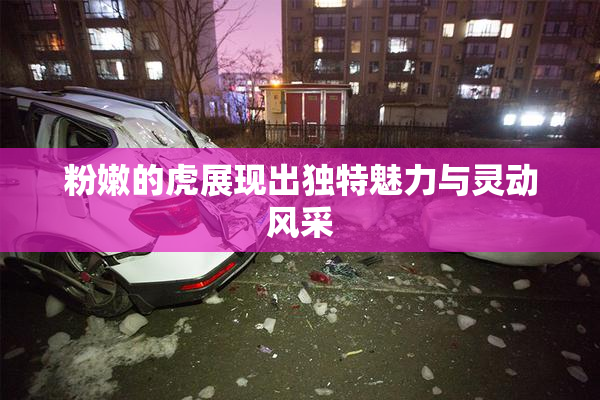 粉嫩的虎展现出独特魅力与灵动风采