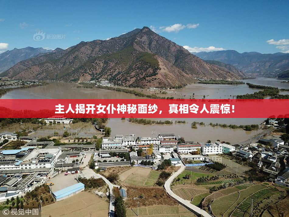 主人揭开女仆神秘面纱，真相令人震惊！