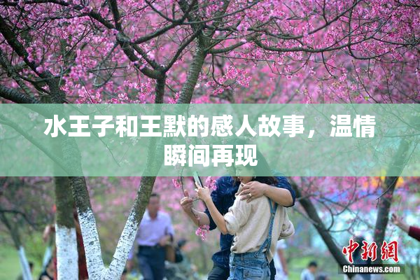 水王子和王默的感人故事，温情瞬间再现