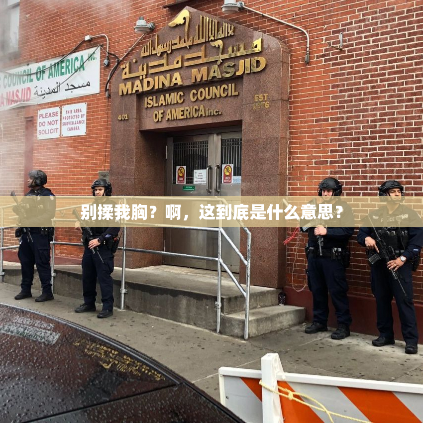 别揉我胸？啊，这到底是什么意思？