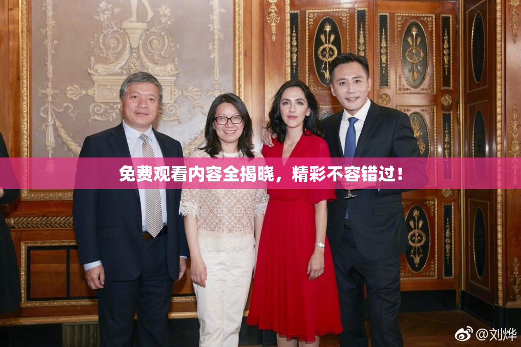 免费观看内容全揭晓，精彩不容错过！