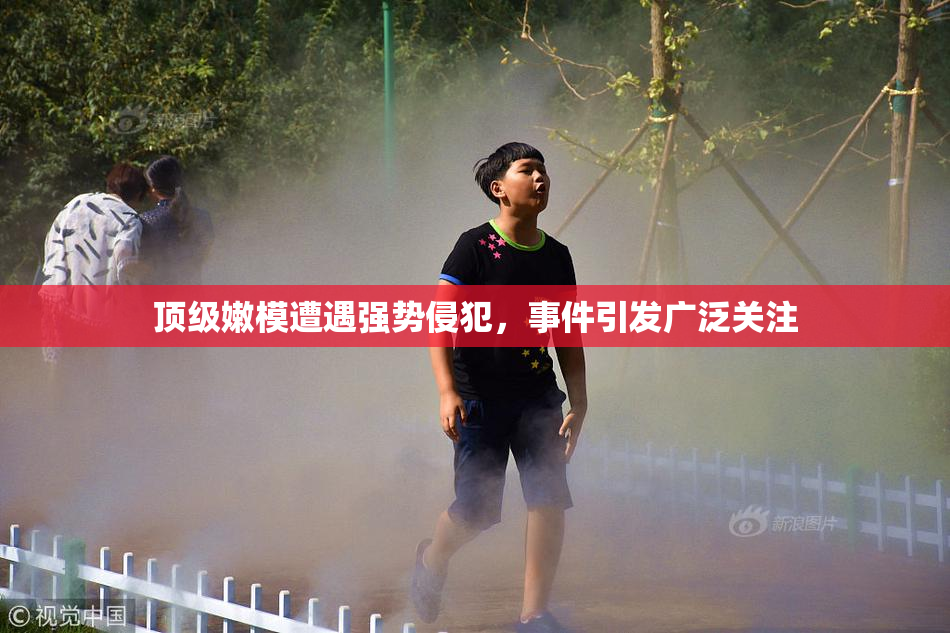 顶级嫩模遭遇强势侵犯，事件引发广泛关注