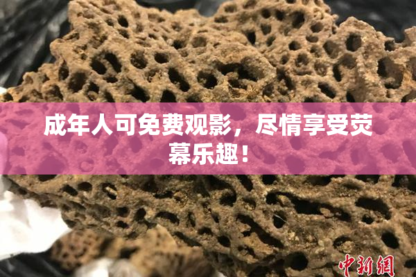 成年人可免费观影，尽情享受荧幕乐趣！