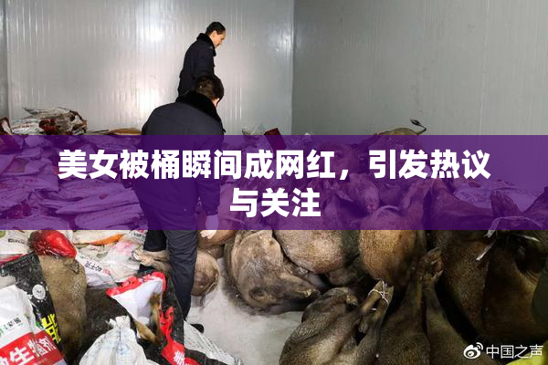 美女被桶瞬间成网红，引发热议与关注