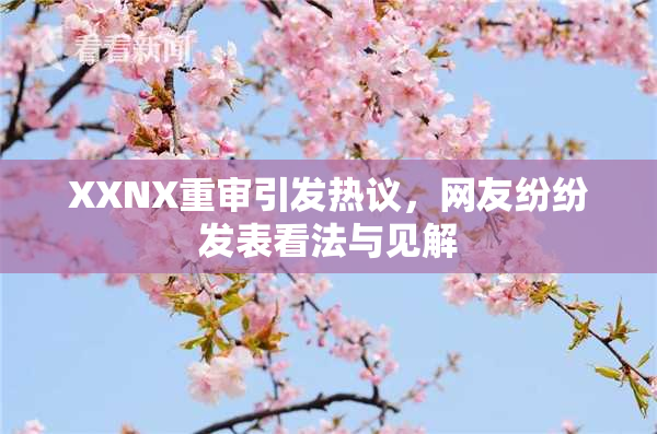 XXNX重审引发热议，网友纷纷发表看法与见解