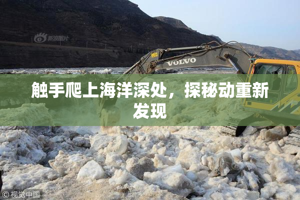 触手爬上海洋深处，探秘动重新发现