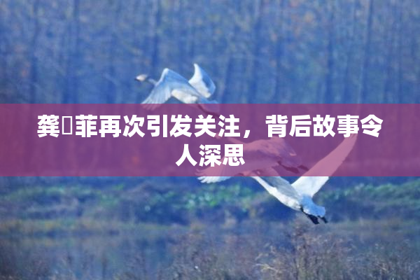 龚玥菲再次引发关注，背后故事令人深思