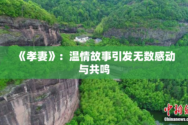 《孝妻》：温情故事引发无数感动与共鸣