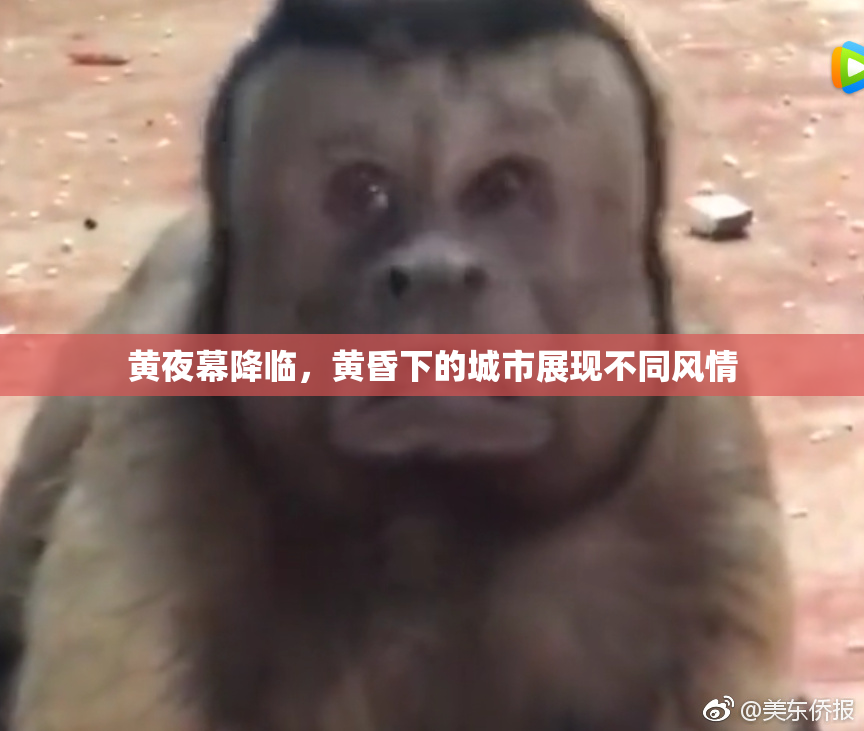 黄夜幕降临，黄昏下的城市展现不同风情