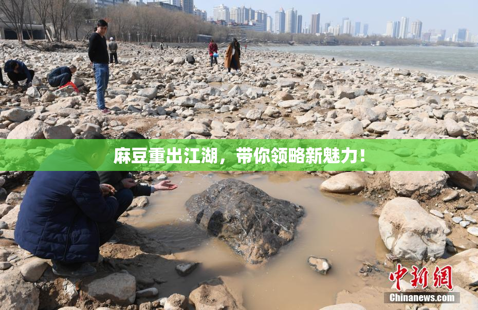 麻豆重出江湖，带你领略新魅力！
