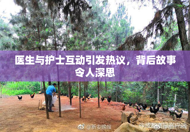 医生与护士互动引发热议，背后故事令人深思