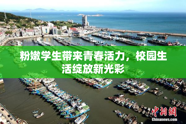 粉嫩学生带来青春活力，校园生活绽放新光彩
