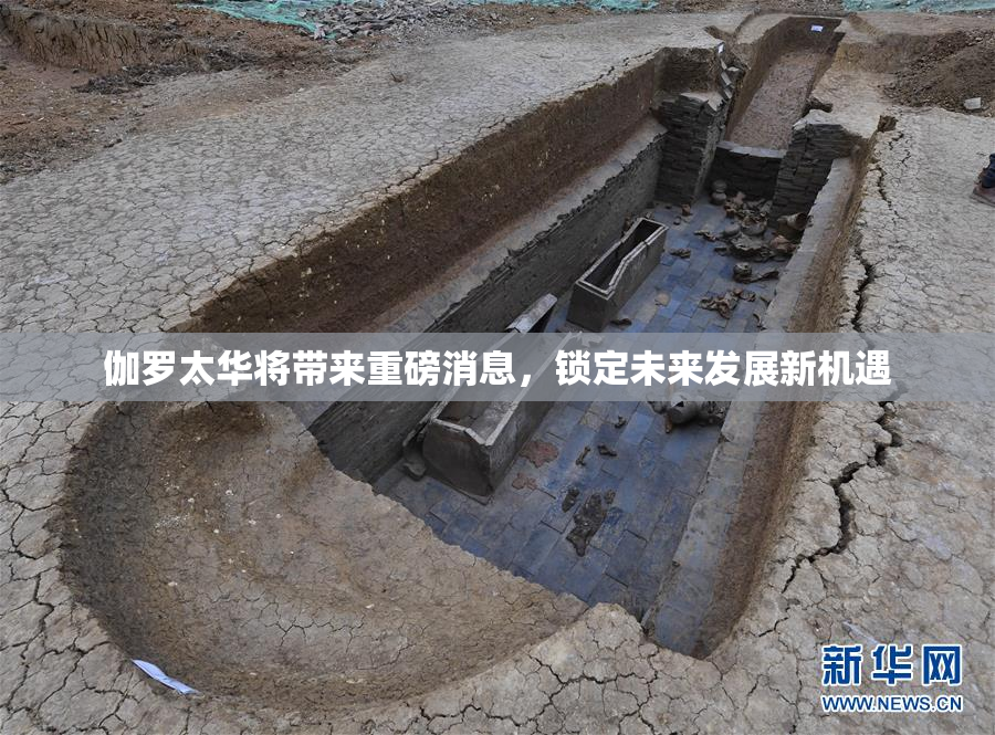 伽罗太华将带来重磅消息，锁定未来发展新机遇