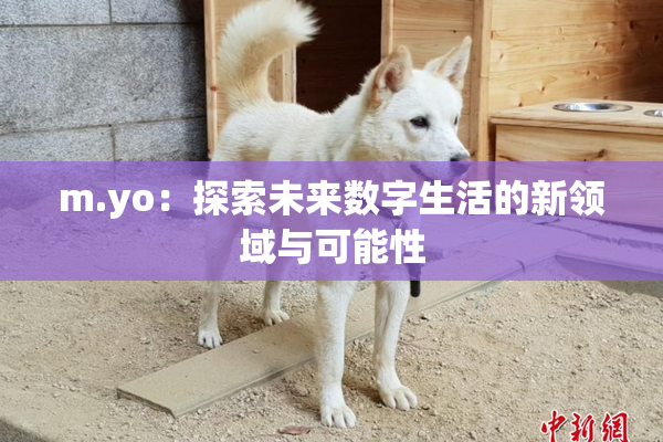 m.yo：探索未来数字生活的新领域与可能性