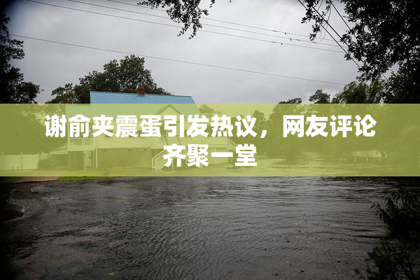 谢俞夹震蛋引发热议，网友评论齐聚一堂