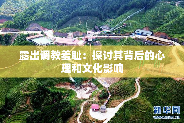 露出调教羞耻：探讨其背后的心理和文化影响