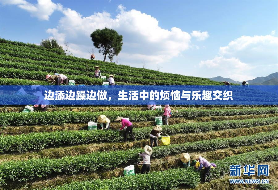 边添边躁边做，生活中的烦恼与乐趣交织