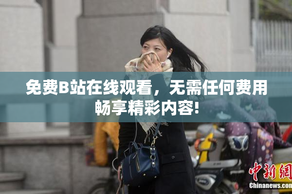 免费B站在线观看，无需任何费用畅享精彩内容!