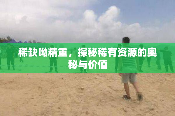稀缺呦精重，探秘稀有资源的奥秘与价值