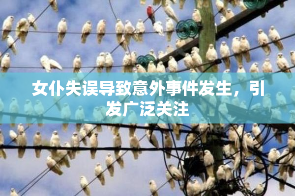 女仆失误导致意外事件发生，引发广泛关注