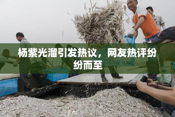 杨紫光溜引发热议，网友热评纷纷而至