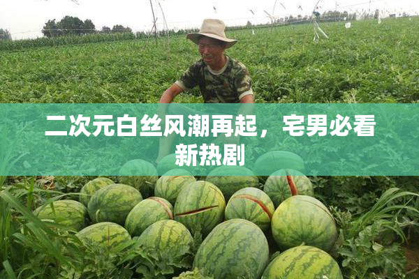 二次元白丝风潮再起，宅男必看新热剧