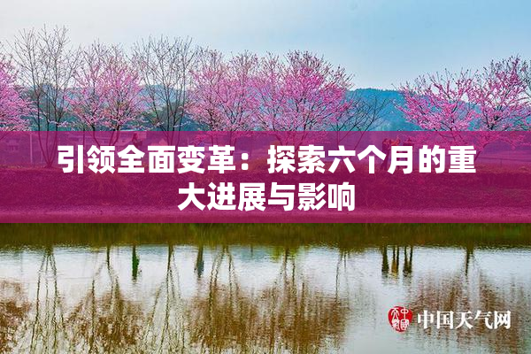 引领全面变革：探索六个月的重大进展与影响