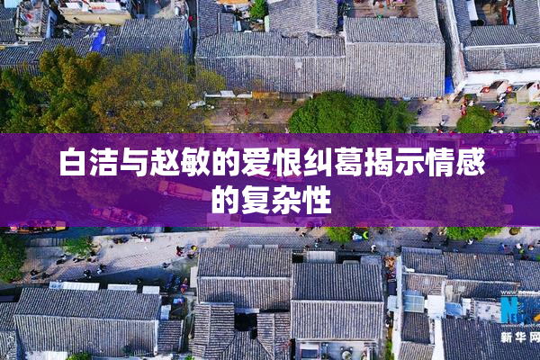 白洁与赵敏的爱恨纠葛揭示情感的复杂性
