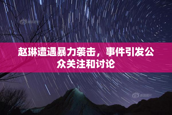 赵琳遭遇暴力袭击，事件引发公众关注和讨论