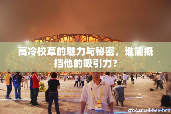 高冷校草的魅力与秘密，谁能抵挡他的吸引力？