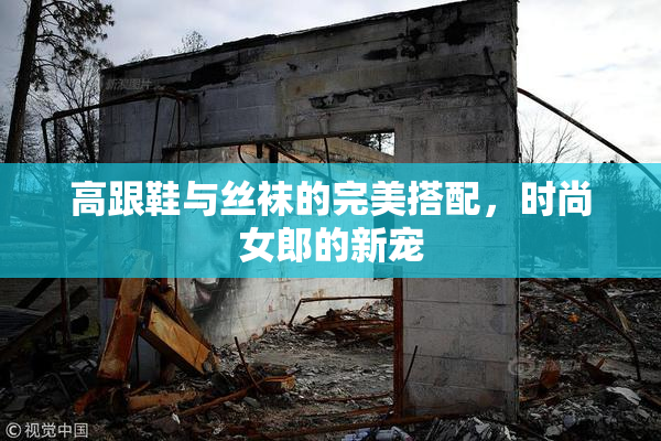 高跟鞋与丝袜的完美搭配，时尚女郎的新宠