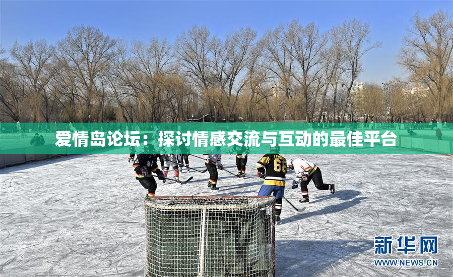 爱情岛论坛：探讨情感交流与互动的最佳平台